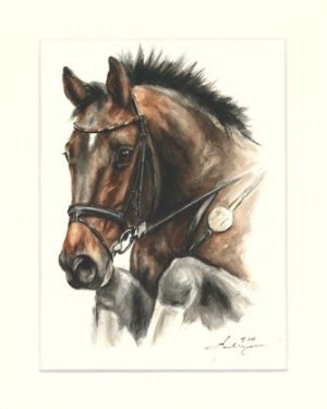 Pferd 21