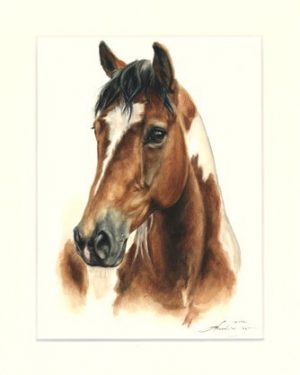 Pferd 22