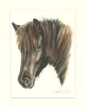 Pferd 24