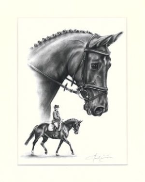 Pferd 31