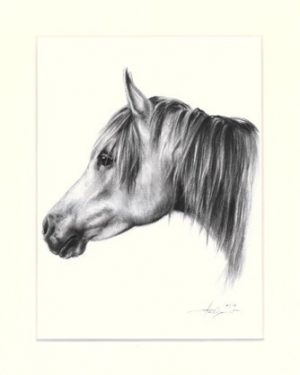 Pferd 32