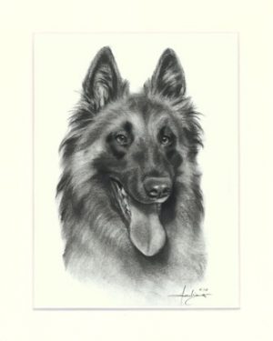 Tervueren 03