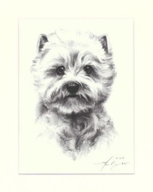 Westhighland White Terrier 03