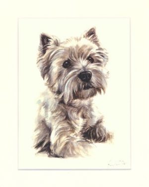 Westhighland White Terrier 04