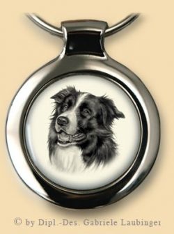 Border Collie S01