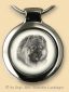 Chow Chow S01
