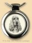 Cocker Spaniel S01