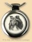 Collie S01