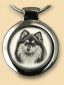 Finnischer Lapphund S01