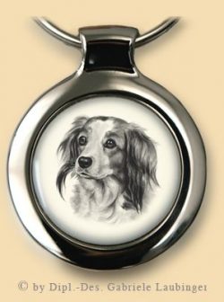 Kooikerhondje S01