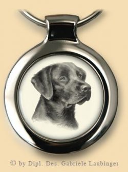 Labrador S02